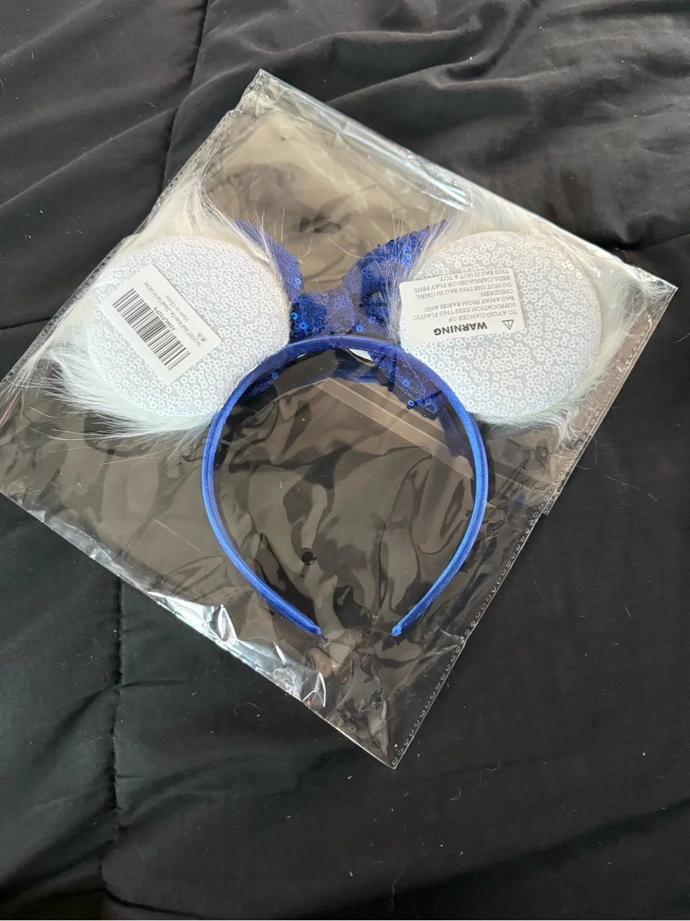 Donald Mickey Ears